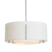 Exos Large Double Shade Pendant in Vintage Platinum - 139610-SKT-MULT-82-SF2290-SF2899 by Hubbardton Forge