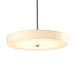 Disq Large LED Pendant in Vintage Platinum - 139713-LED-MULT-82-SH1970 by Hubbardton Forge