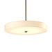 Disq Large LED Pendant in Soft Gold - 139713-LED-MULT-84-SH1970 by Hubbardton Forge