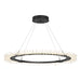 Anemone Circular LED Pendant in Black - 139772-LED-STND-10 by Hubbardton Forge