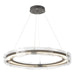 Solstice LED Pendant in Natural Iron - 139780-LED-STND-20-ZM0518 by Hubbardton Forge