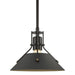 Henry Mini Pendant in Oil Rubbed Bronze with Natural Iron Accent - 184250-SKT-MULT-14-20 by Hubbardton Forge