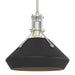 Henry with Chamfer Pendant in Vintage Platinum with Black Accent - 184251-SKT-MULT-82-10 by Hubbardton Forge