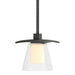 Wren Mini Pendant in Natural Iron - 186600-SKT-MULT-20-ZU0284 by Hubbardton Forge