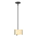 Exos Delta Mini Pendant in Black - 188100-SKT-MULT-10-AA0156 by Hubbardton Forge