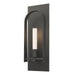 Triomphe 1-Light Sconce in Natural Iron with Natural Iron Accent - 201070-SKT-20-20-FD0462 by Hubbardton Forge