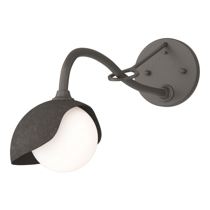 Brooklyn 1-Light Single Shade Long-Arm Sconce in Dark Smoke with Dark Smoke Accent - 201376-SKT-07-07-GG0711 by Hubbardton Forge