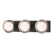 Brooklyn 3-Light Straight Double Shade Bath Sconce in Oil Rubbed Bronze with Vintage Platinum Accent - 201378-SKT-14-82-GG0711 by Hubbardton Forge