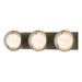 Brooklyn 3-Light Straight Double Shade Bath Sconce in Soft Gold with Vintage Platinum Accent - 201378-SKT-84-82-GG0711 by Hubbardton Forge