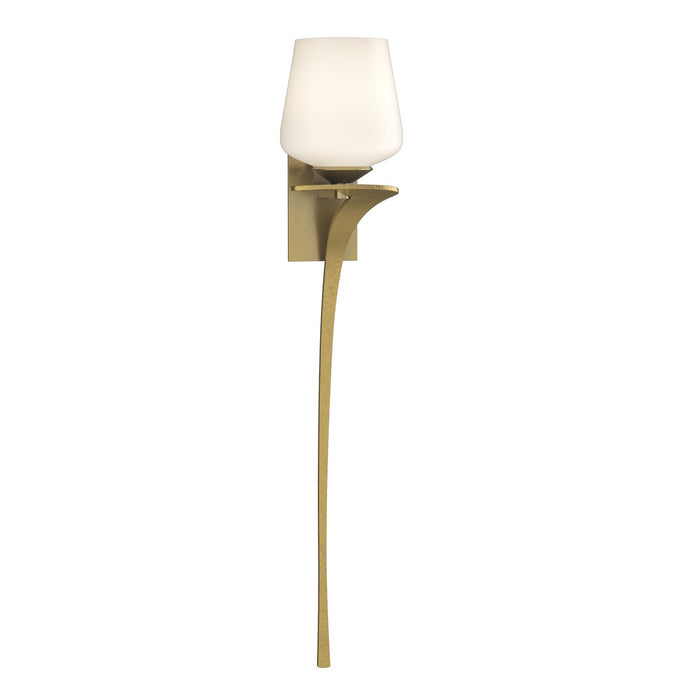 Antasia Single Glass 1 Light (Right Side) Sconce in Modern Brass - 204710-SKT-RGT-86-GG0236 by Hubbardton Forge