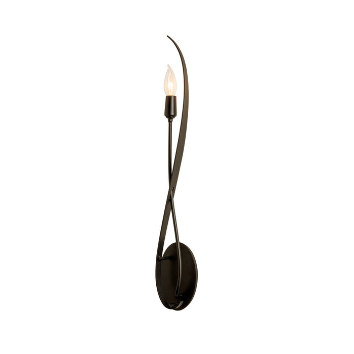 Willow Sconce in Oil Rubbed Bronze - 209120-SKT-14 by Hubbardton Forge