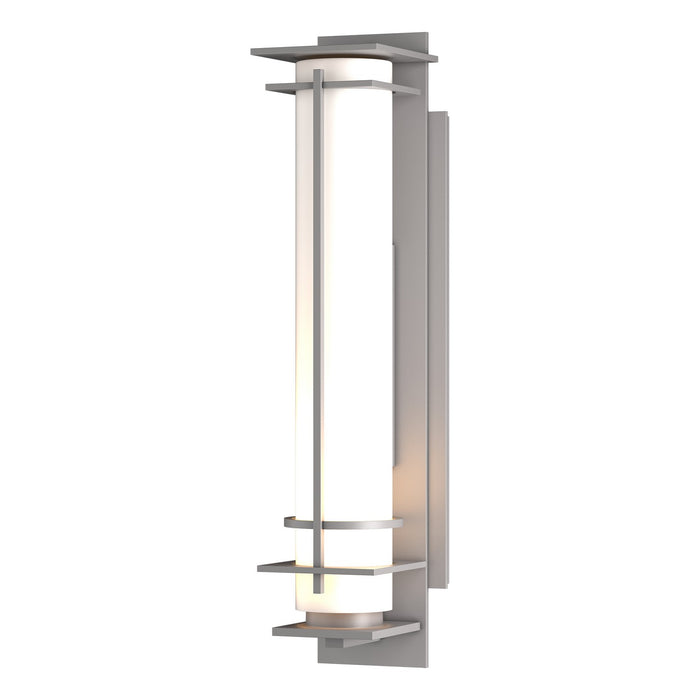 After Hours Outdoor Sconce in Coastal Burnished Steel - 307860-SKT-78-GG0187 by Hubbardton Forge