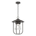 Erlenmeyer Outdoor Pendant in Coastal Oil Rubbed Bronze - 356010-SKT-14-ZM0467 by Hubbardton Forge