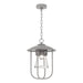 Erlenmeyer Outdoor Pendant in Coastal Burnished Steel - 356010-SKT-78-ZM0467 by Hubbardton Forge