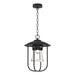 Erlenmeyer Outdoor Pendant in Coastal Black - 356010-SKT-80-ZM0467 by Hubbardton Forge