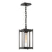 Cela Medium Outdoor Lantern in Coastal Oil Rubbed Bronze - 362021-SKT-14-ZM0730 by Hubbardton Forge