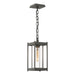 Cela Medium Outdoor Lantern in Coastal Natural Iron - 362021-SKT-20-ZM0730 by Hubbardton Forge