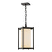 Cela Large Outdoor Lantern in Coastal Oil Rubbed Bronze - 362023-SKT-14-GG0731 by Hubbardton Forge