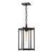 Cela Large Outdoor Lantern in Coastal Oil Rubbed Bronze - 362023-SKT-14-ZM0731 by Hubbardton Forge