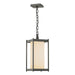 Cela Large Outdoor Lantern in Coastal Natural Iron - 362023-SKT-20-GG0731 by Hubbardton Forge