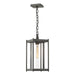 Cela Large Outdoor Lantern in Coastal Natural Iron - 362023-SKT-20-ZM0731 by Hubbardton Forge