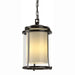 Meridian Large Outdoor Ceiling Fixture in Coastal Oil Rubbed Bronze - 365615-SKT-14-ZS0283 by Hubbardton Forge