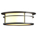 Province Outdoor Flush Mount in Coastal Black - 365650-SKT-80-GG0218 by Hubbardton Forge