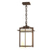 Tourou Large Outdoor Ceiling Fixture in Coastal Bronze - 366007-SKT-75-GG0112 by Hubbardton Forge