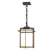 Tourou Large Outdoor Ceiling Fixture in Coastal Dark Smoke - 366007-SKT-77-GG0112 by Hubbardton Forge