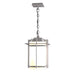 Tourou Large Outdoor Ceiling Fixture in Coastal Burnished Steel - 366007-SKT-78-GG0112 by Hubbardton Forge