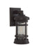 ZA2304-BZ-C- Resilience 1-Light Outdoor Lantern in Bronze by Craftmade