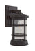 ZA2314-BZ-C- Resilience 1-Light Outdoor Lantern in Bronze by Craftmade