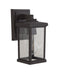 ZA2404-BZ-C- Resilience 1-Light Outdoor Lantern in Bronze by Craftmade