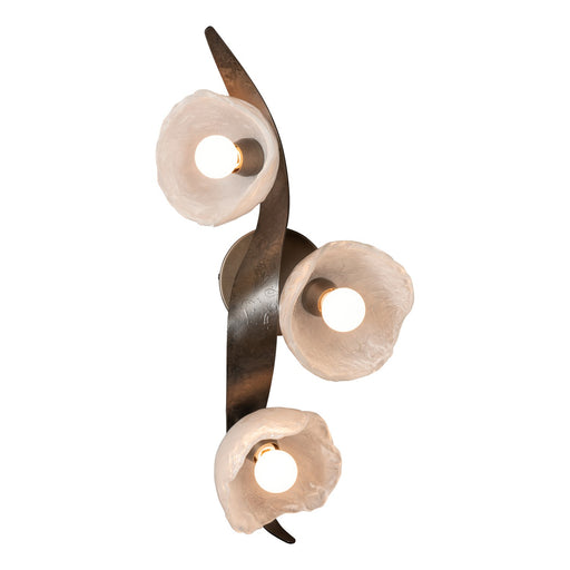 Mika 3-Light Large Sconce/Semi-Flush in Dark Smoke - 201060-SKT-07-FD0791 by Hubbardton Forge