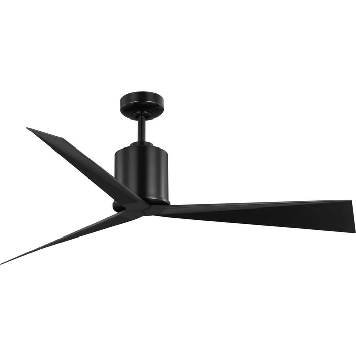 Paso 60" Ceiling Fan in Matte Black