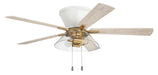 IST52WSB5 - Insight 52" Ceiling Fan in White & Satin Brass by Craftmade