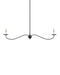 9000-1126 - Saxon 2-Light Chandelier in Zanzibar Black by Currey and Company