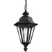 Brentwood One Light Outdoor Pendant in Black