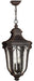 1312MO - Trafalgar Large Hanging Lantern by Hinkley Lighting