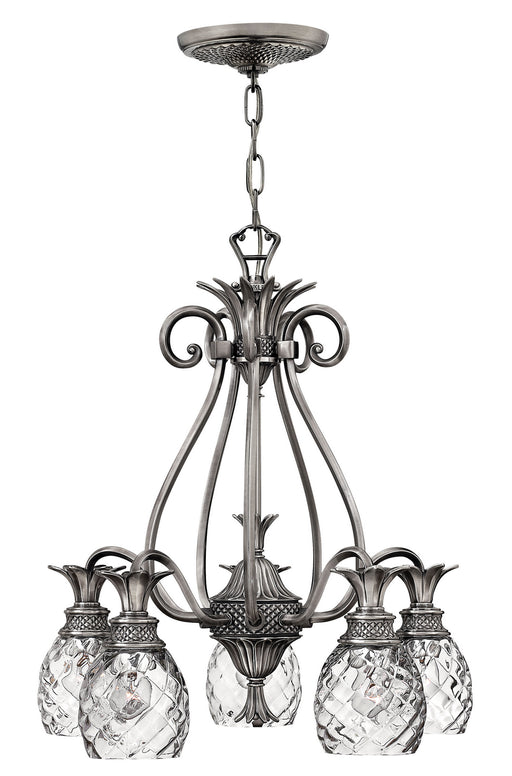 4885PL - Plantation Medium Single Tier Chandelier by Hinkley Lighting