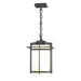 Tourou Large Outdoor Ceiling Fixture in Coastal Natural Iron - 366007-SKT-20-GG0112 by Hubbardton Forge