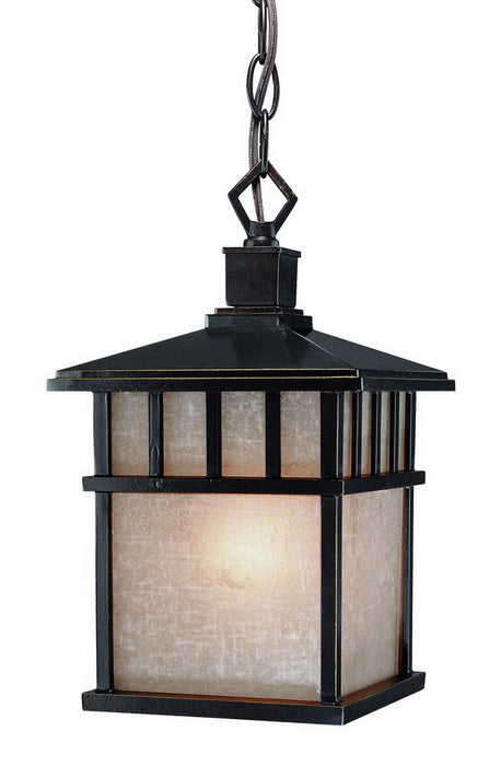 9113-68- Barton Outdoor 1-Light Hanging Fixture in Winchester with Arizona Glass by Dolan Designs