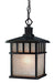 9113-68- Barton Outdoor 1-Light Hanging Fixture in Winchester with Arizona Glass by Dolan Designs