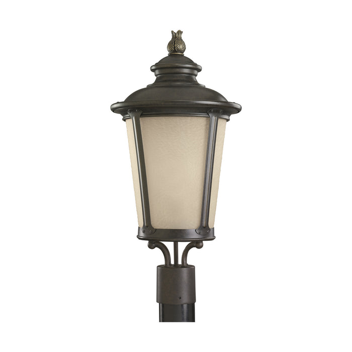 Cape May One Light Outdoor Post Lantern in Burled Iron