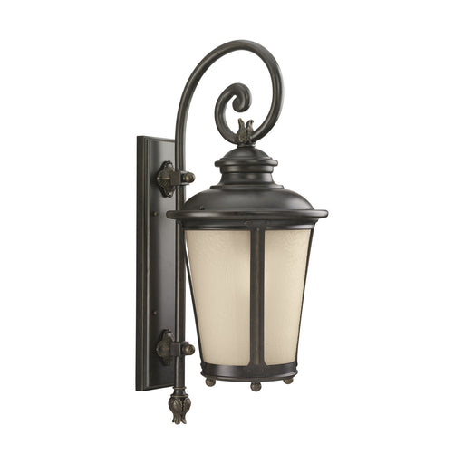 Cape May One Light Outdoor Wall Lantern in Burled Iron