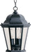 1009BK - Westlake Cast 3-Light Outdoor Hanging Lantern in Black with Clear Glass by Maxim Lighting