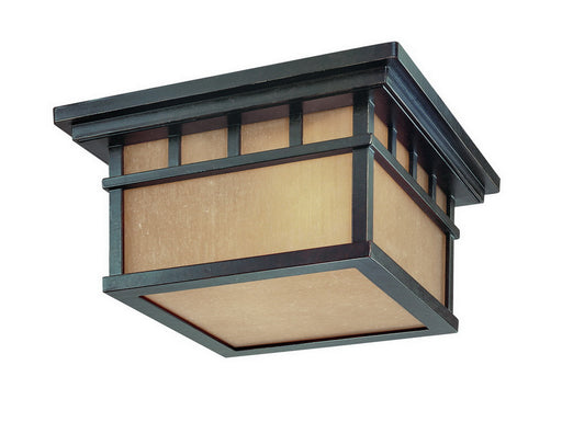 9119-68- Barton Outdoor 2-Light Ceiling in Winchester with Arizona Glass by Dolan Designs