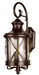 5120 ROB- Chandler 2-Light Wall Lantern in Rubbed Oil Bronze with Clear Seeded Glass by Trans Globe Lighting