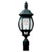 Wynfield Two Light Outdoor Post Lantern in Black