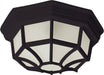 1020BK - Crown Hill 2-Light Outdoor Ceiling Mount in Black by Maxim Lighting